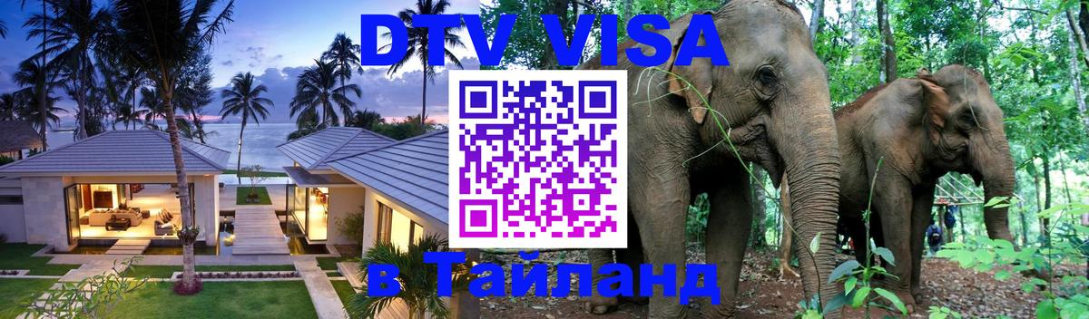 Сколько стоит DTV виза — актуальные цены, оформление даже без документов - 05.12.2025 